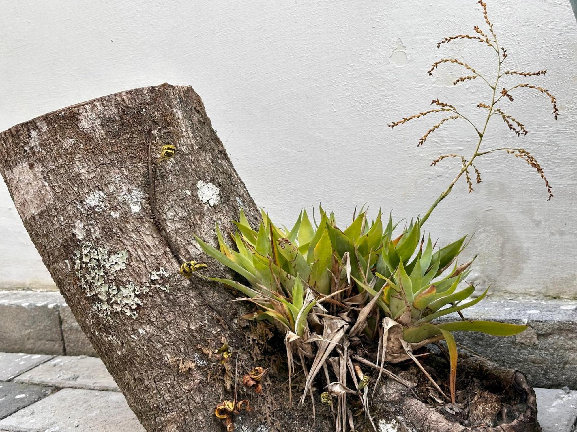 Brazilian Art - Estacionamiento Gratis & Emision De Factura Lejlighed Quetzaltenango Eksteriør billede
